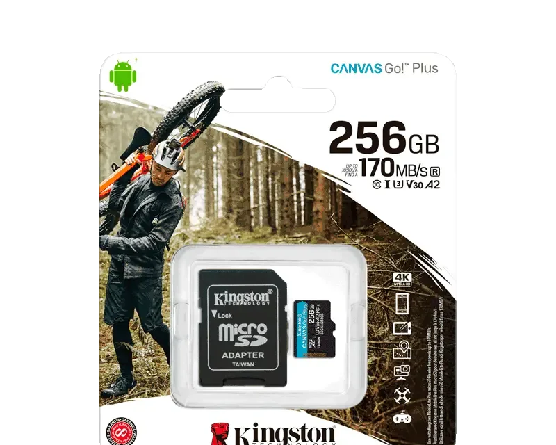 Kingston Canvas Go Plus 256GB microSD SDCG3/256GB