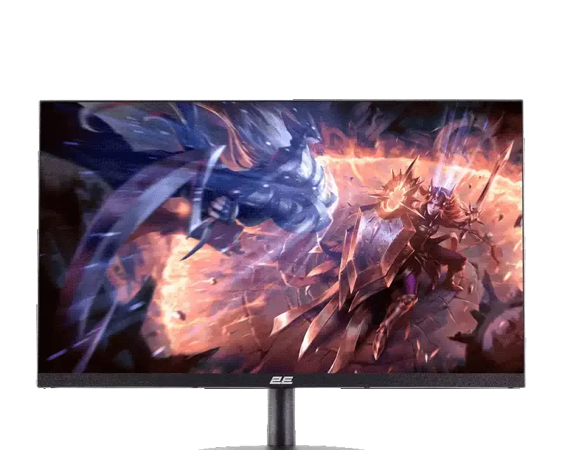 2E G2423B 23.8-inch FHD 165Hz Gaming Monitor