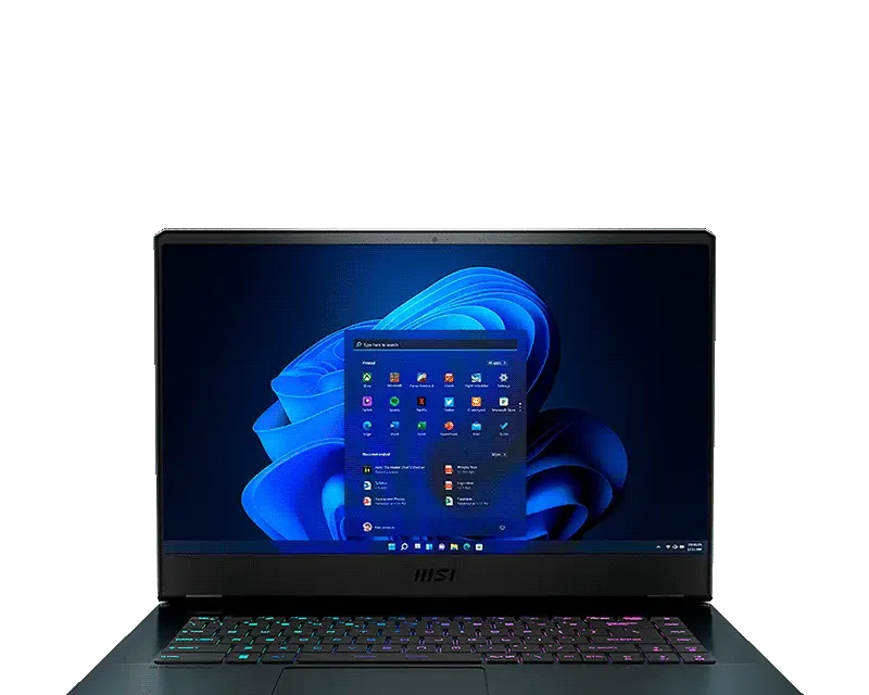 MSI Raider GE66 12UHS-236US