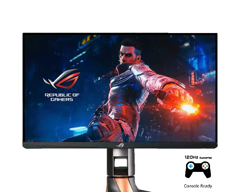 ASUS ROG Swift PG259QN 360Hz Gaming Monitor