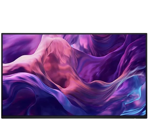 Dell Pro Plus P2425H Full HD Monitor