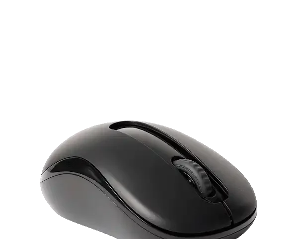 Rapoo M10 Plus Optic Wireless Mouse
