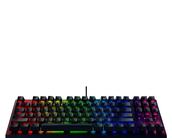 Razer BlackWidow V3 TKL Mexaniki Klaviatura