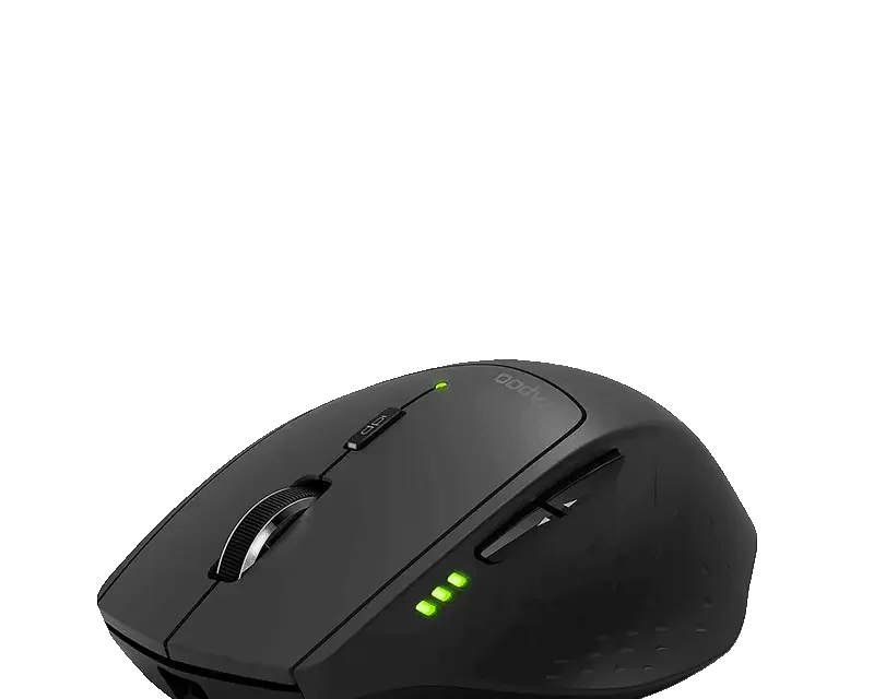 Mouse Rapoo MT550